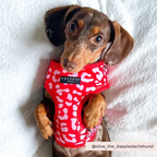 Dog Harnesses product image 6