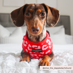 Dog Harnesses product image 9