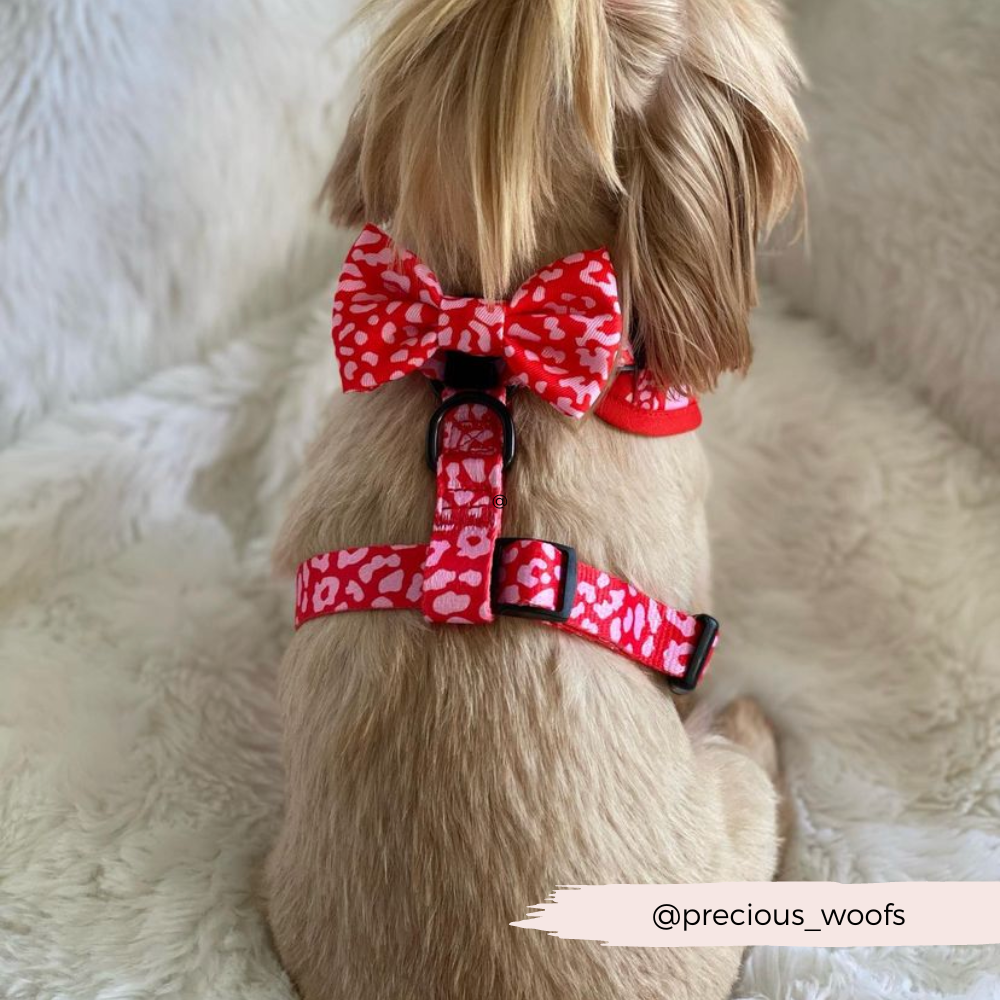 Dog Harnesses product image 10