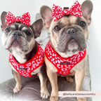 Dog Harnesses product image 14