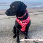 Dog Harnesses product image 16