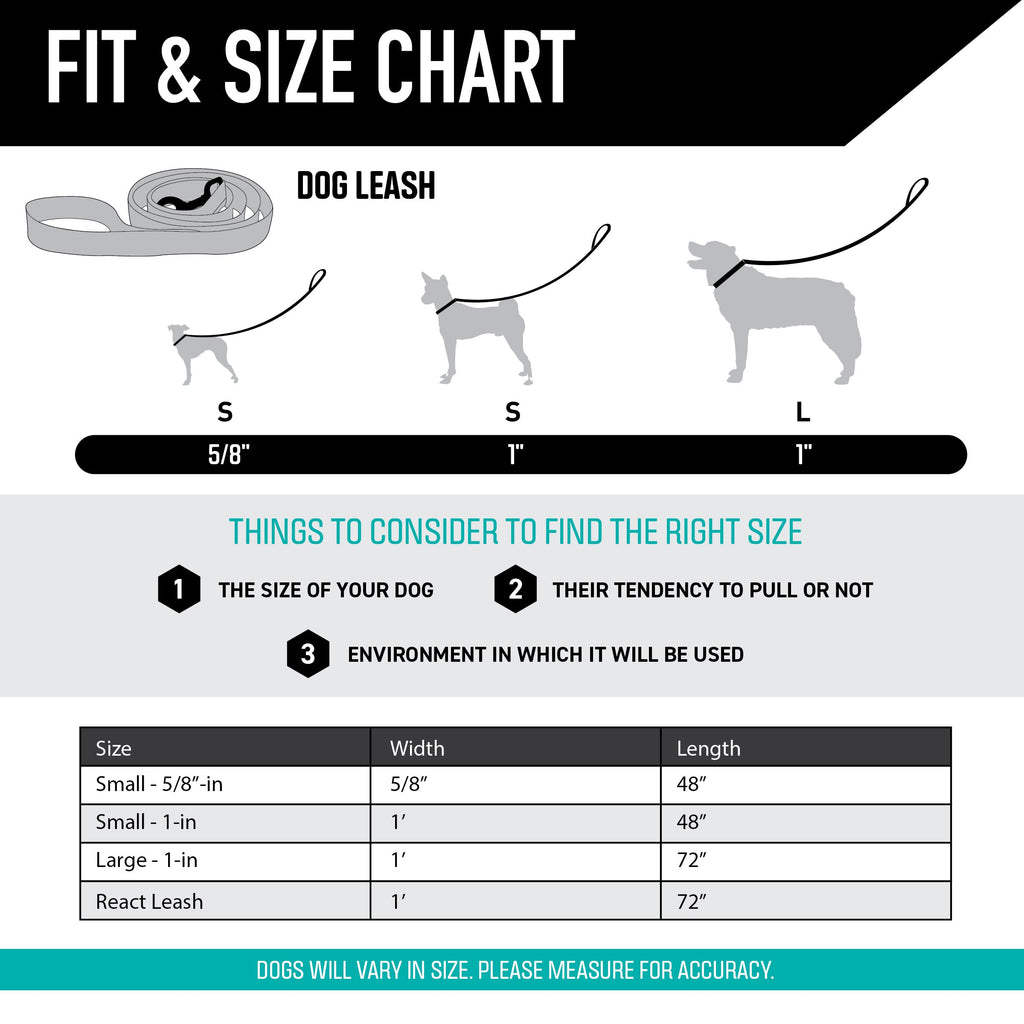 Dog Leash product image 4