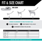Dog Leash product image 4