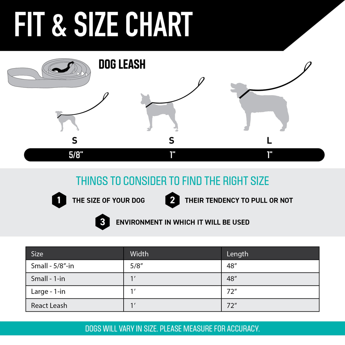 Dog Leash product image 4