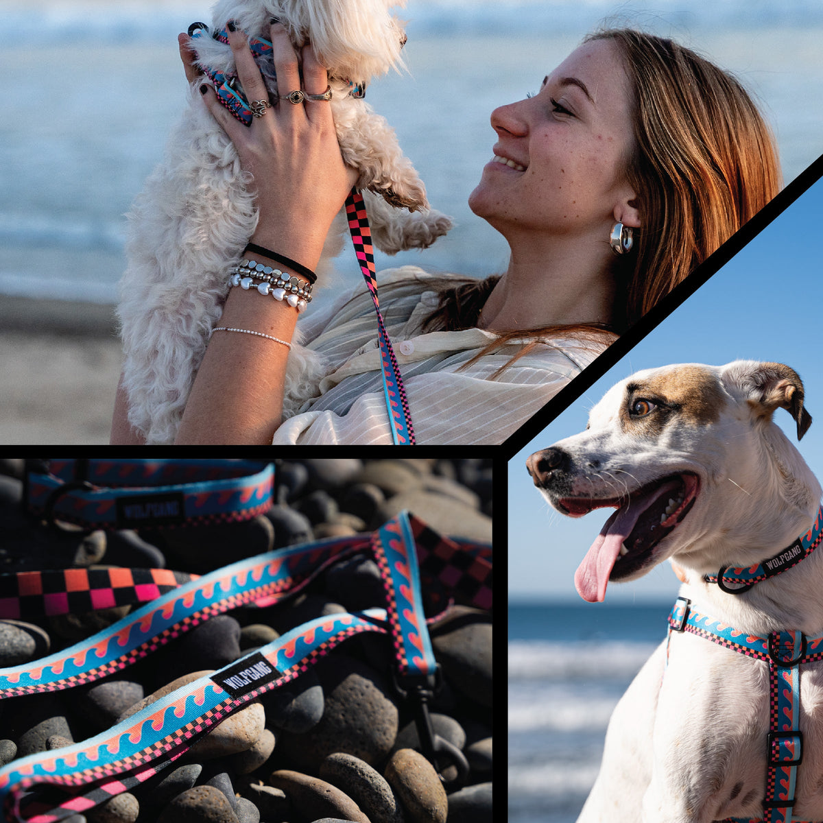 Dog Leash product image 6