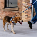 Comfort Dog Harness product image 3