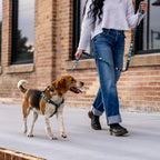Dog Harness product image 3