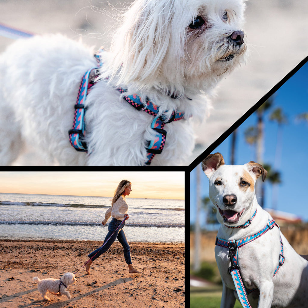 Dog Harness product image 6