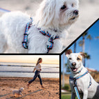Dog Harness product image 6