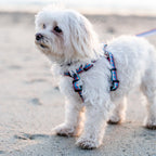 Dog Harness product image 8