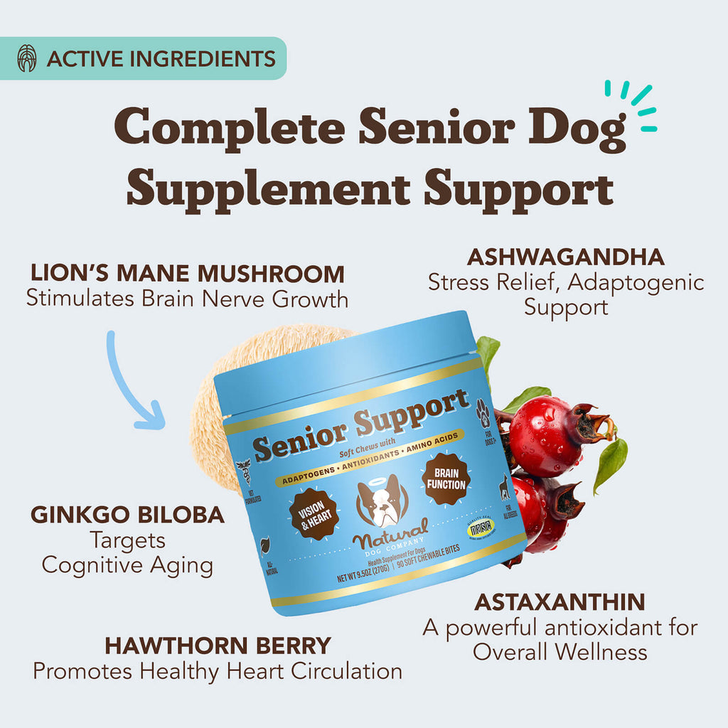 Senior Dog Supplement Chews product image 3