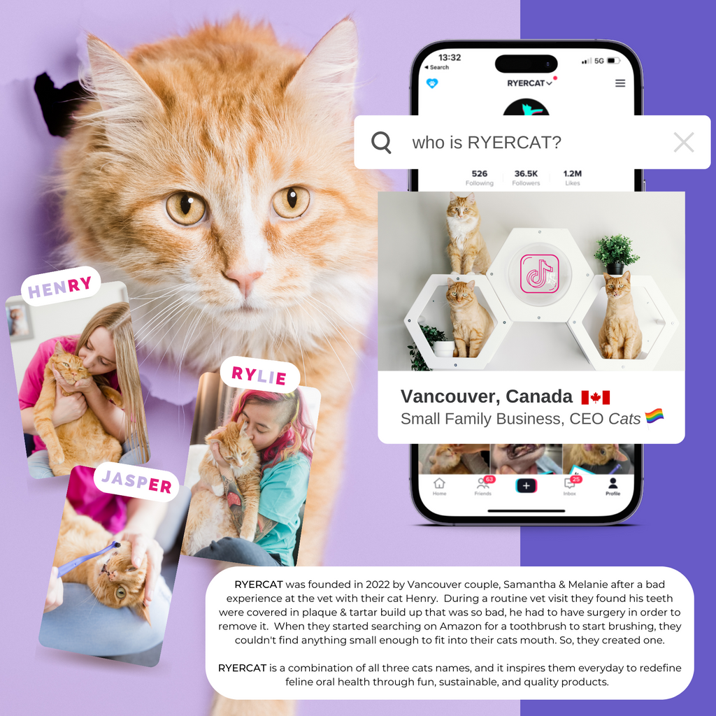 Cat Toothbrush product image 11