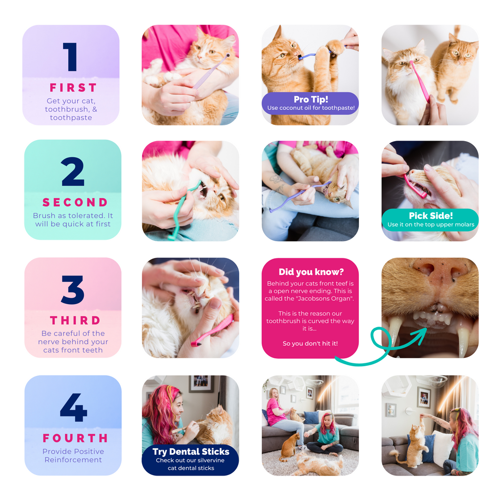 Cat Toothbrush product image 15