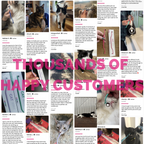 Cat Toothbrush product image 16