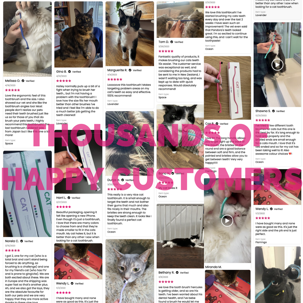 Cat Toothbrush product image 16