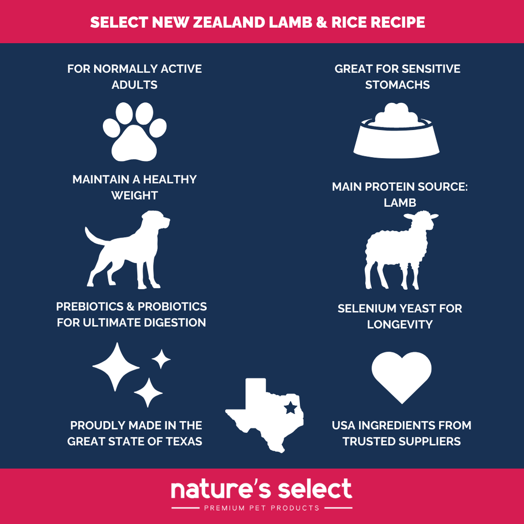 Dry Dog Food product image 5
