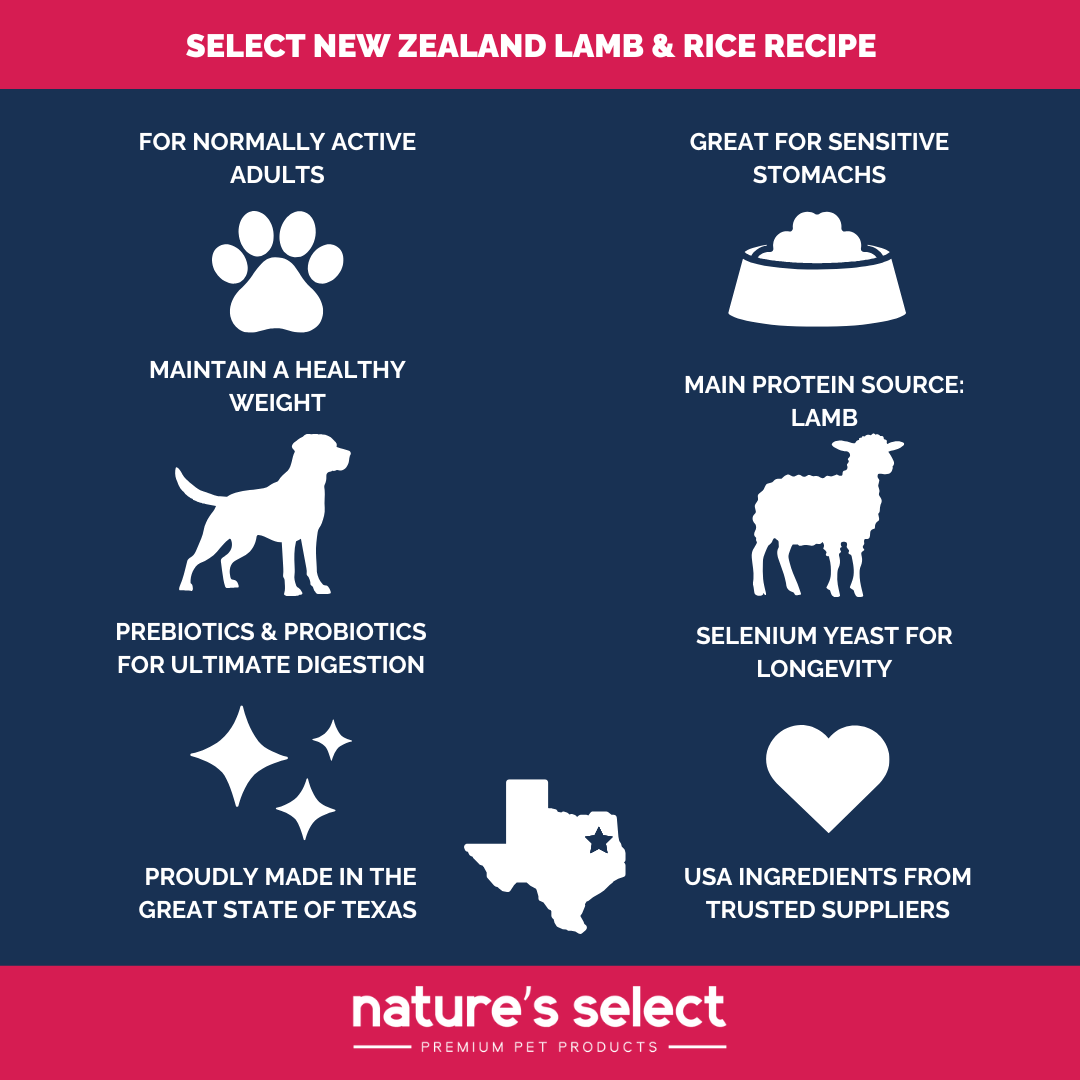 Dry Dog Food product image 5