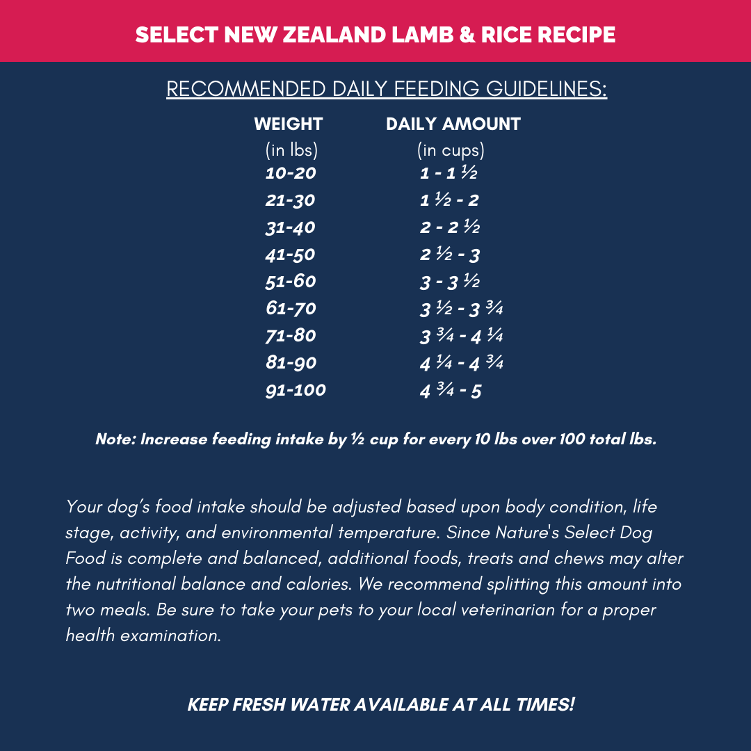 Dry Dog Food product image 7