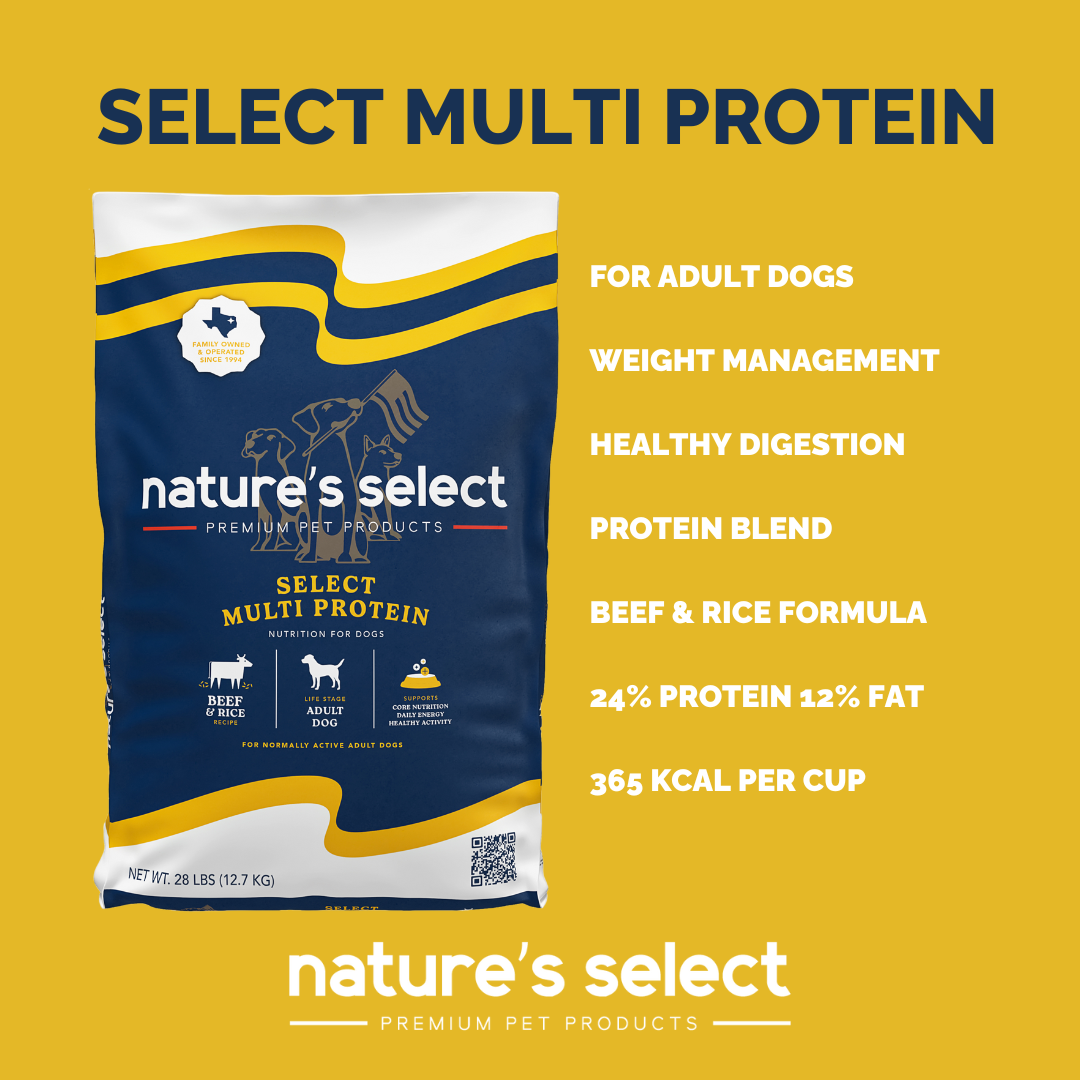 Dog Food Care Package product image 3