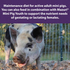 Mini Pig Food product image 5