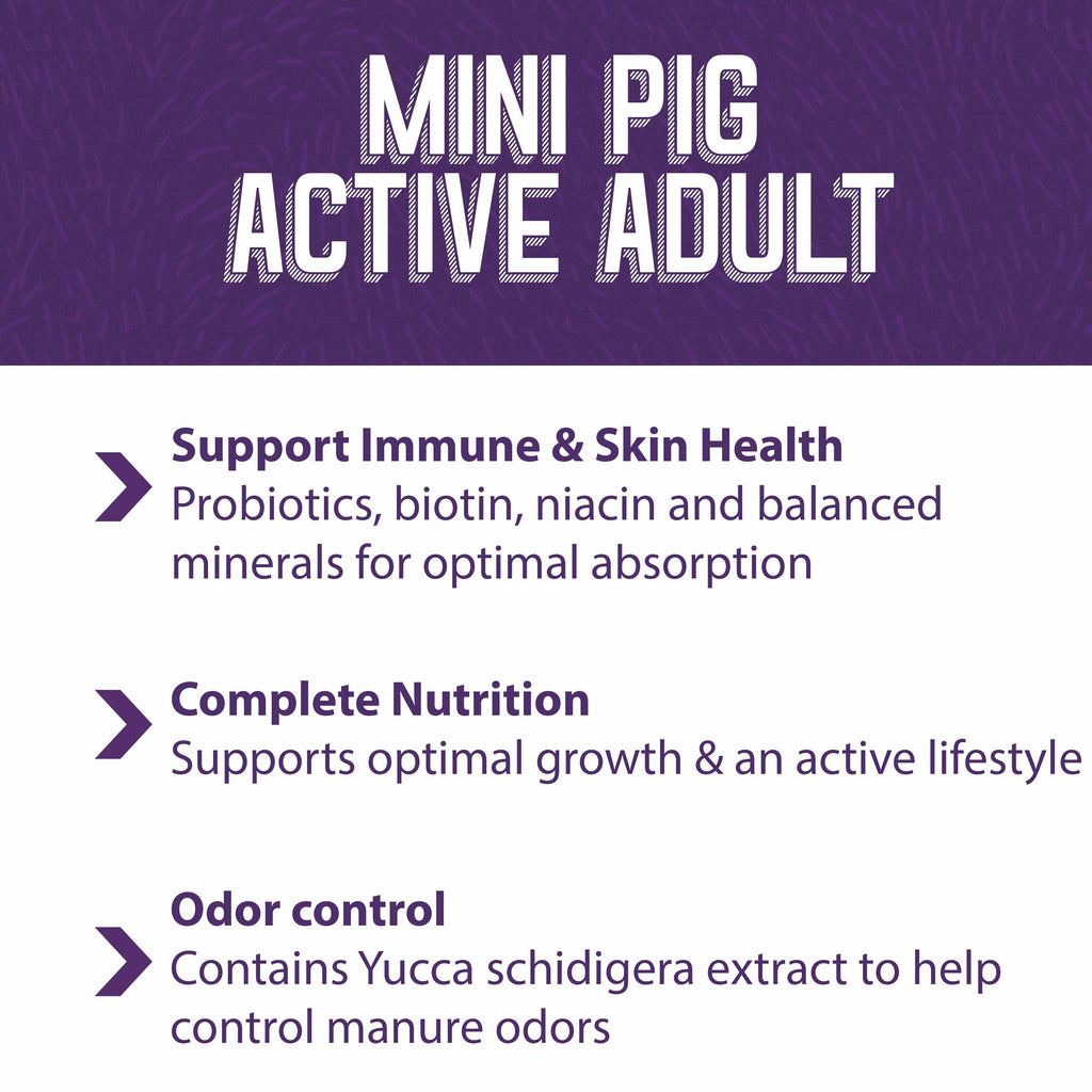 Mini Pig Food product image 6