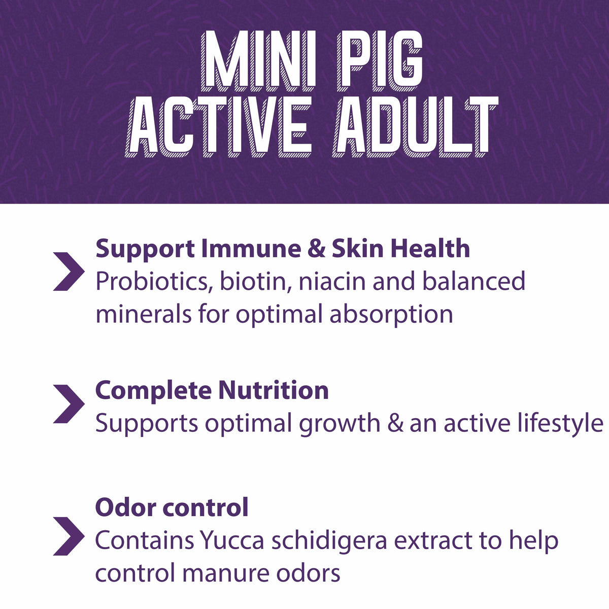 Mini Pig Food product image 6