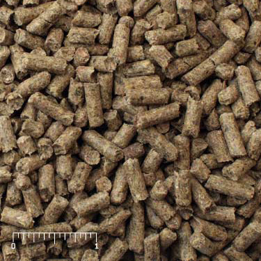 Mini Pig Food product image 8