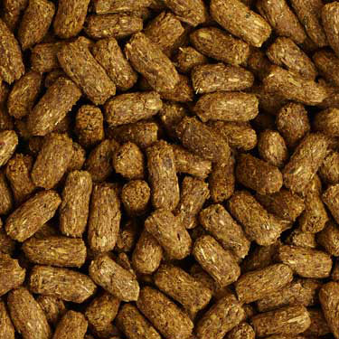 Tortoise Food product image 8