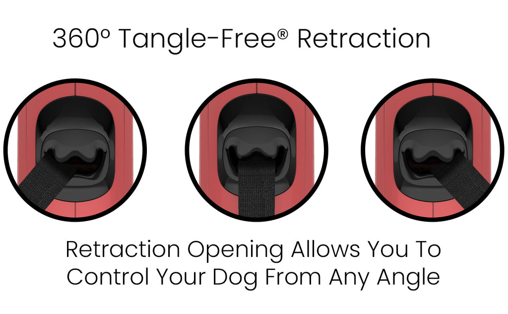 Retractable Dog Leash product image 20