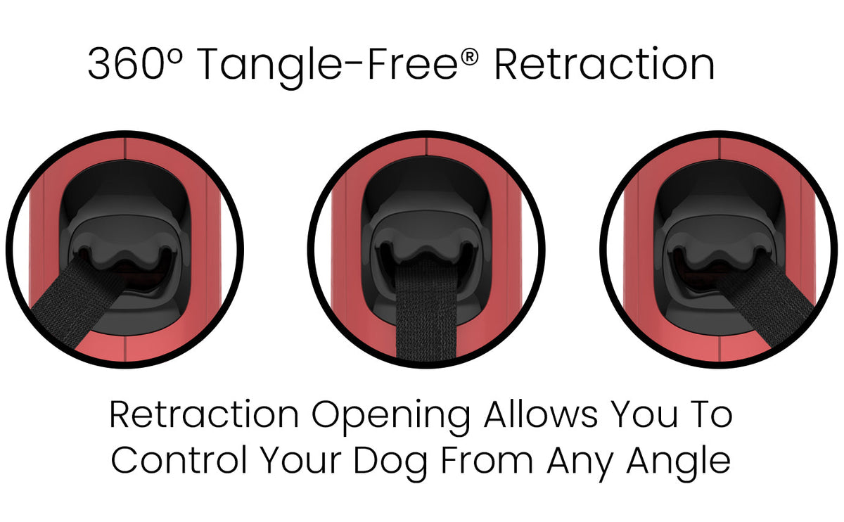 Retractable Dog Leash product image 20