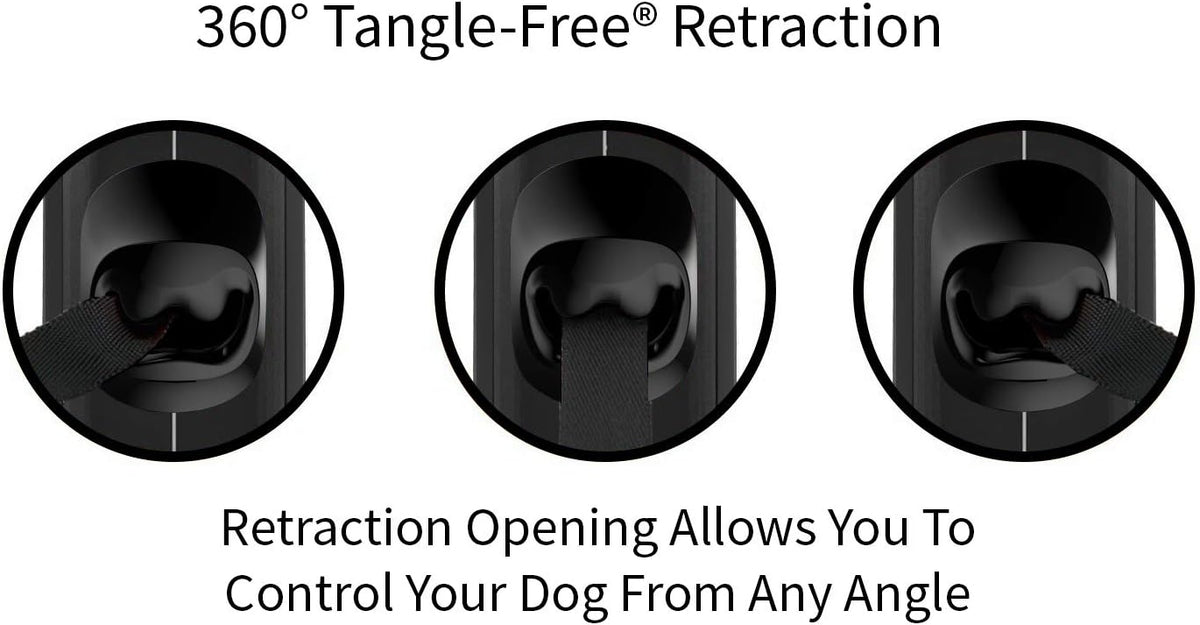Retractable Dog Leash product image 35