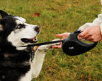 Retractable Dog Leash product image 38