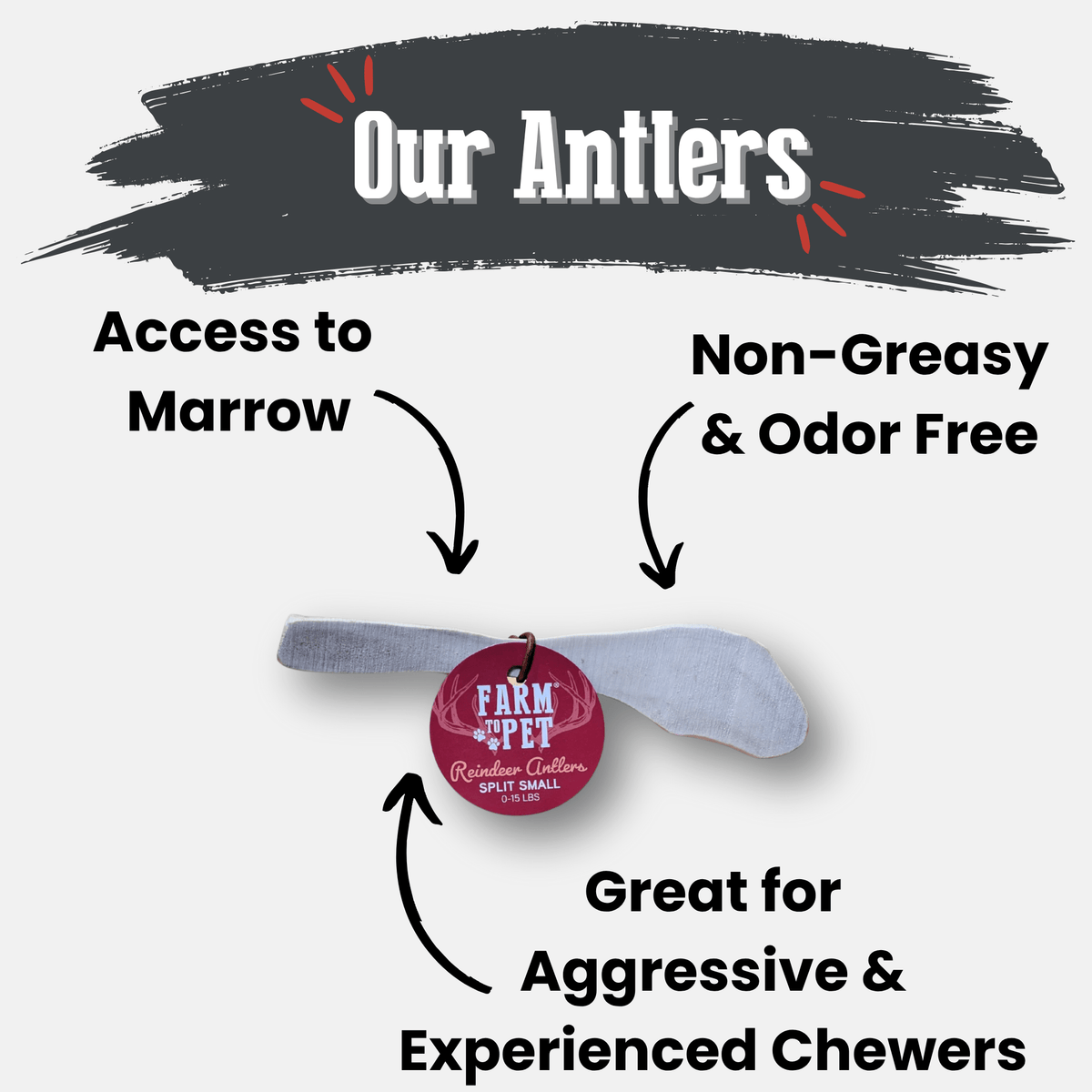 Dog Chew product image 4