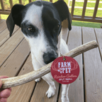 Dog Chew product image 6