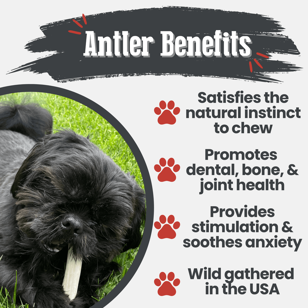 Dog Chew product image 8