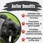 Dog Chew product image 8