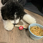 Dog Chew product image 20