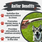 Dog Chew product image 21