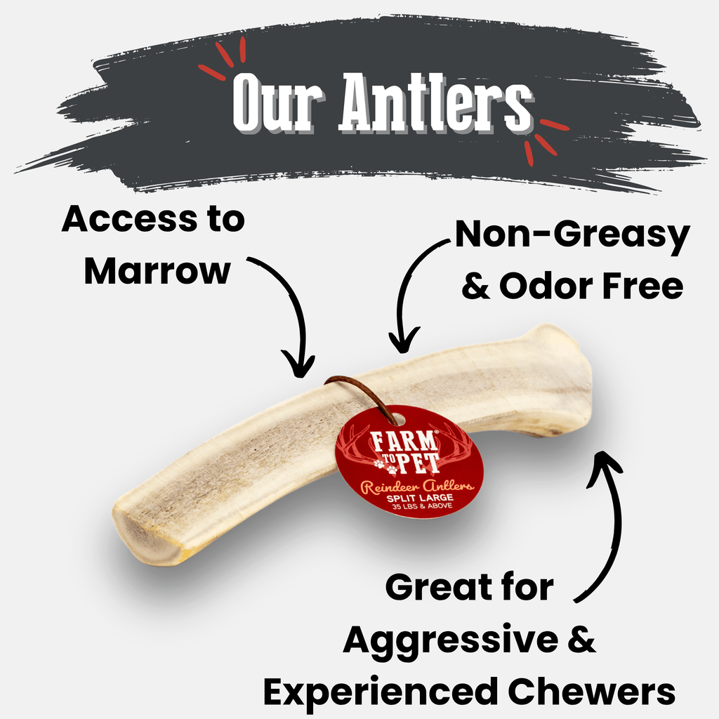 Dog Chew product image 28