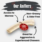 Dog Chew product image 28