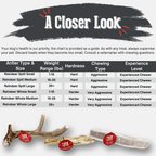Dog Chew product image 31
