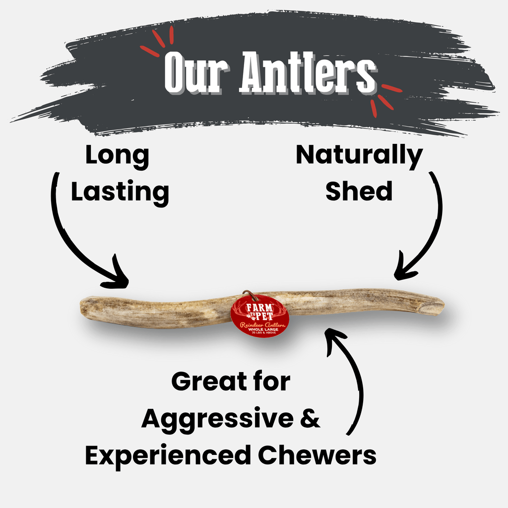 Dog Chew product image 34