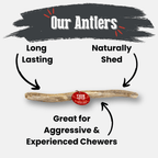 Dog Chew product image 34