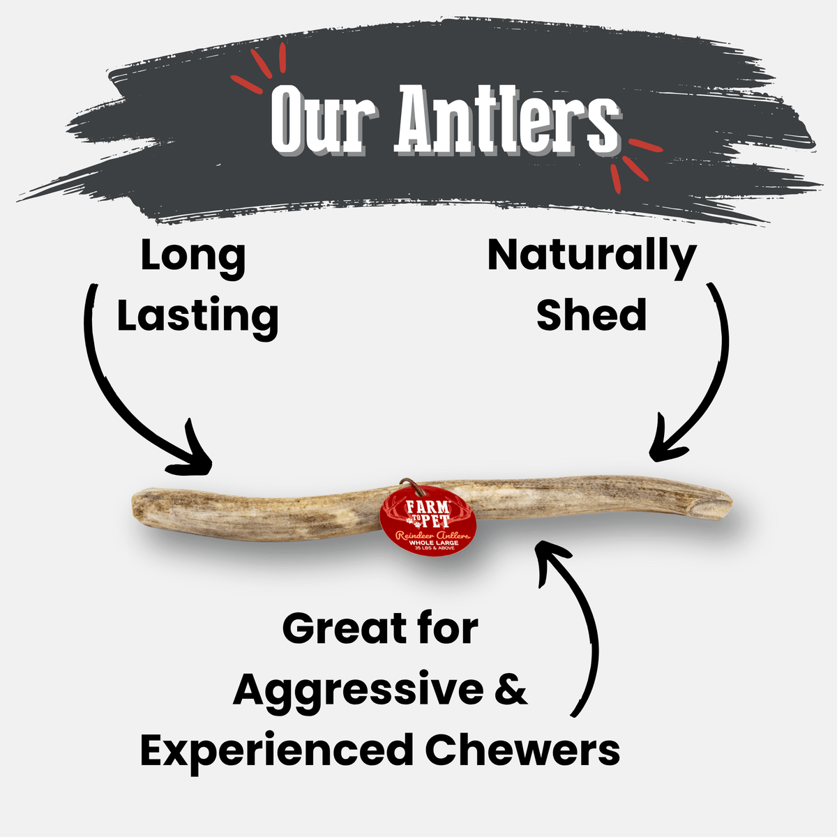 Dog Chew product image 34