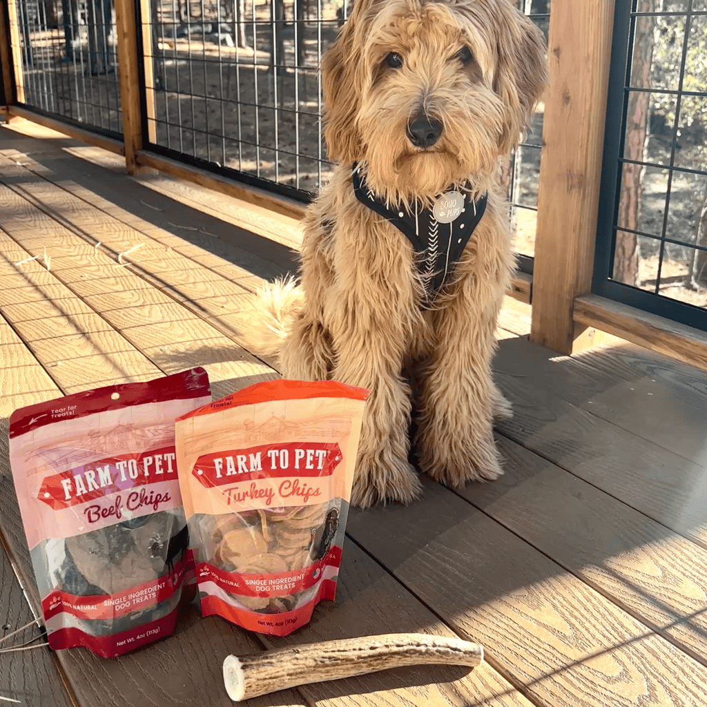 Dog Chew product image 35