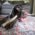 Dog Chew product image 36