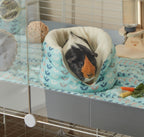 Guinea Pig Fleece Liners product image 2