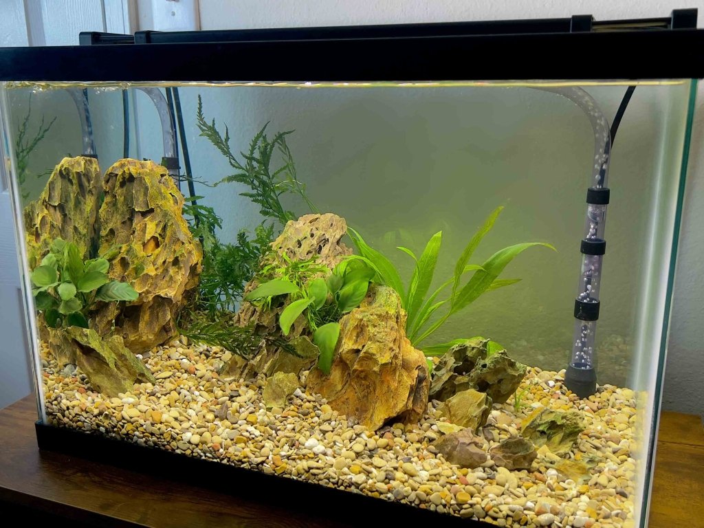 Undergravel Aquarium Filter product image 3