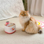 Wireless Pet Water Fountain product image 13