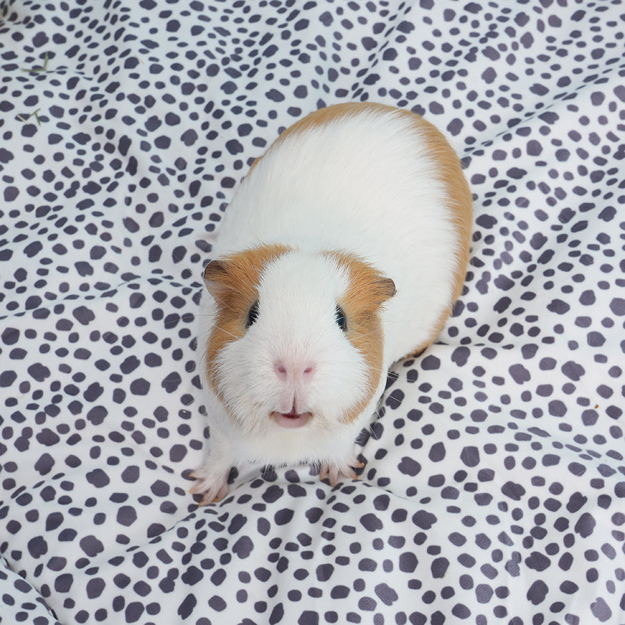 Guinea Pig Fleece Liner product image 2